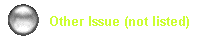    Other Issue (not listed)